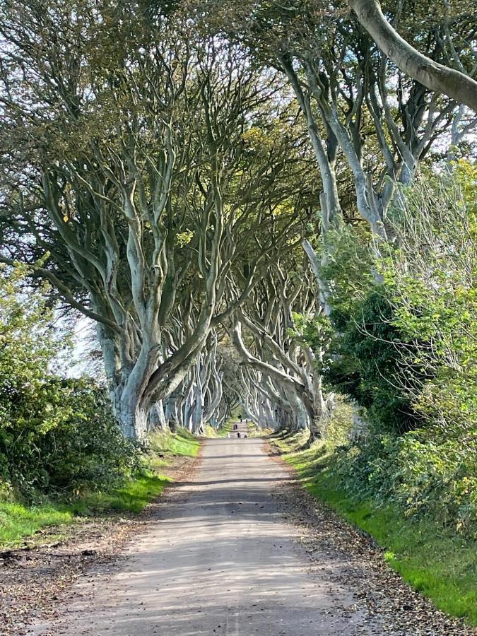 Loughview